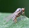 334146 – Photo : Jean-Michel GAREL – France (89)